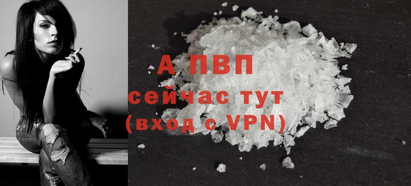 сатива Армянск
