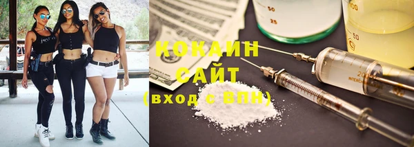 сатива Армянск
