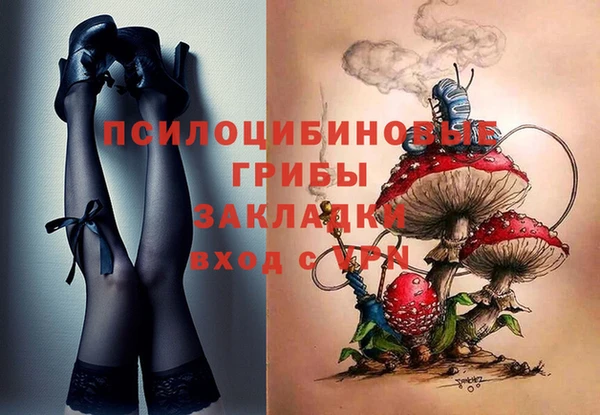 сатива Армянск