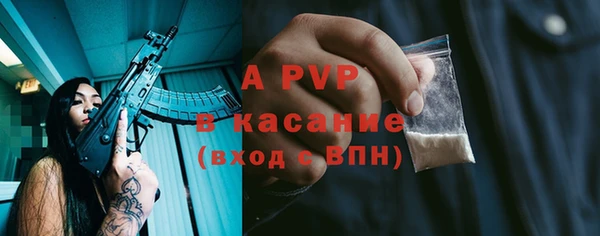 стафф Аркадак