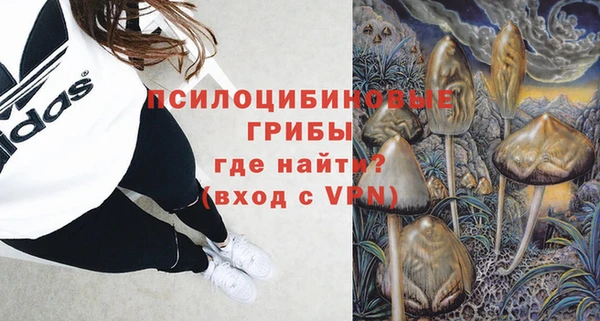стафф Аркадак