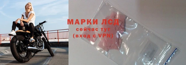 стафф Аркадак
