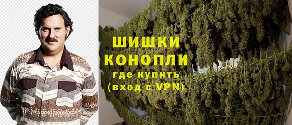 сатива Армянск