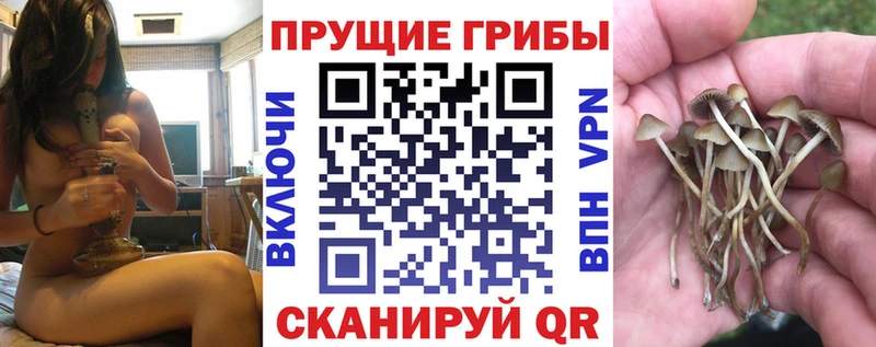 mega онион  Тара  Галлюциногенные грибы мицелий 